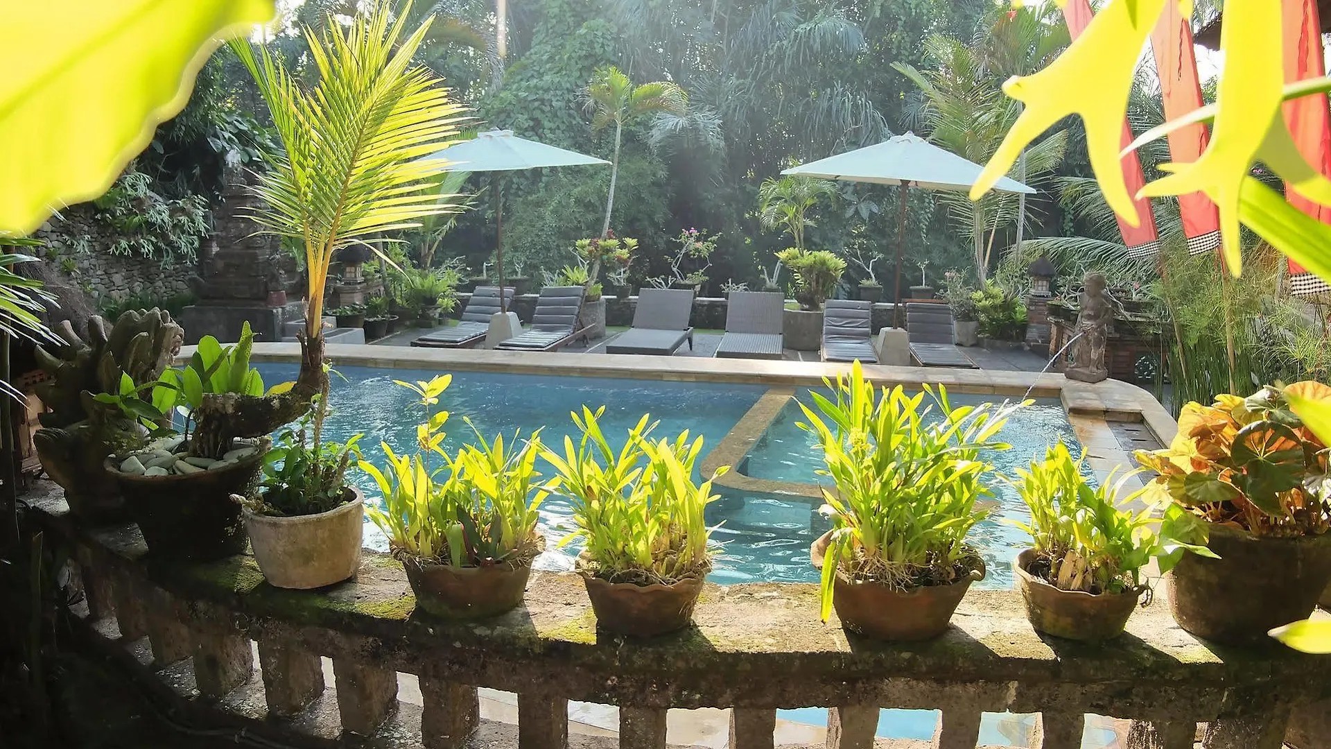 Ketut'S Place Bed & Breakfast Ubud 3*,